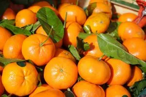 Orange (Nagpur)