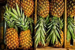 Pineapple per pc