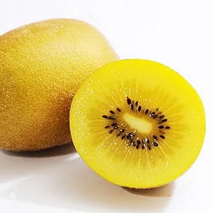 Kiwi Fruit (Golden) 3 pc