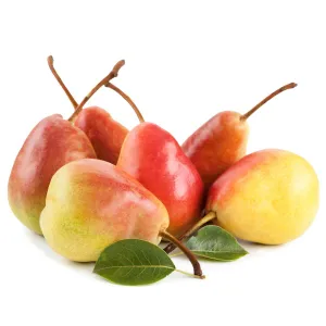 Pears (South Africa)