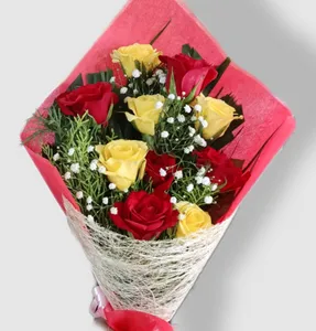 Red Yellow