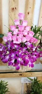 Orchids In Basket