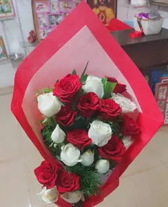 Red N White