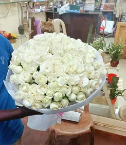 100 White Roses