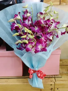 Orchids 6 Stick