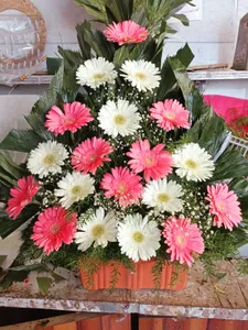 Pink White Zebra Bouquet