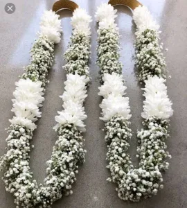Baby's Breath Haar