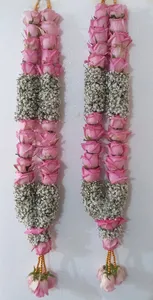 Rose Baby'sbreath
