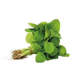 BABY SPINACH