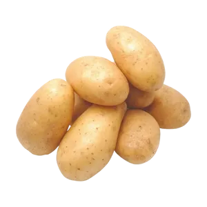 POTATO