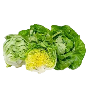 LETTUCE BOSTON