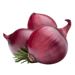 ONION RED