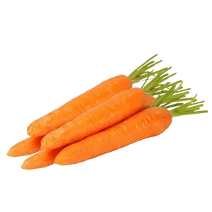 CARROTS SA