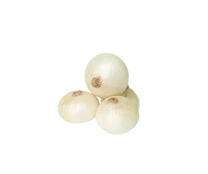 ONION WHITE