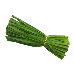 LEEKS