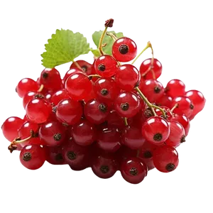 CURRANTS