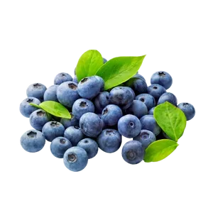 BLUW BERRY piece