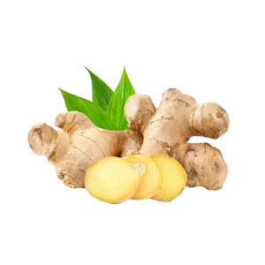 GINGER