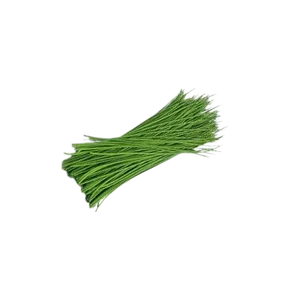 CHIVES