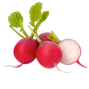 RED RADDISH
