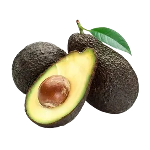 AVOCADO USA