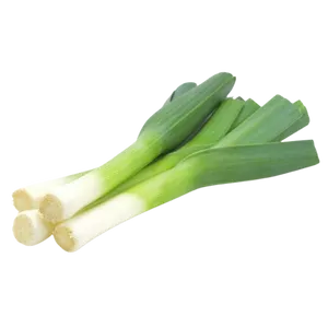 LEEK
