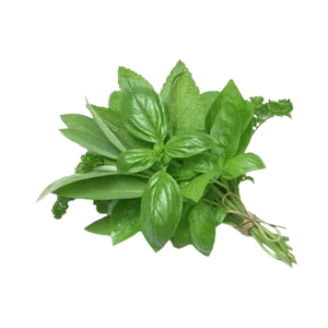 HERP BASIL LEAVES