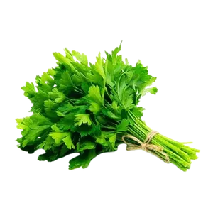 PARSLEY