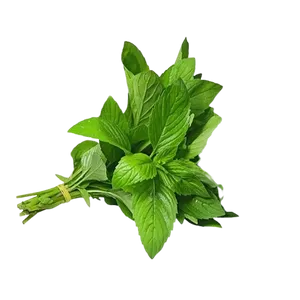MINT