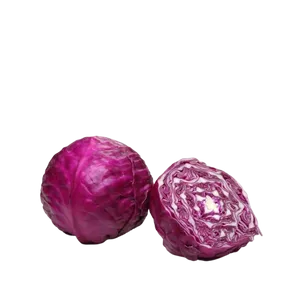 RED CABBAGE