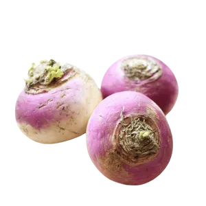 TURNIP