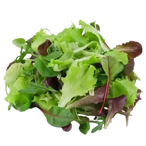 MIX LETTUCE pkt