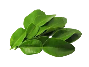 LEMON LEAF