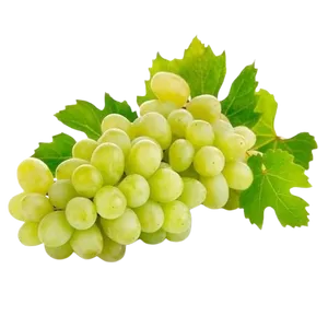 GREEN GRAPES