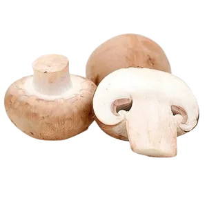MUSHROOM
