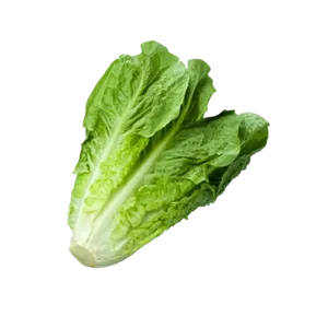 LETTUCE ROMAIN