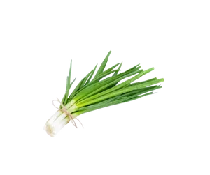 SPRING ONION