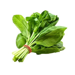 SPINACH