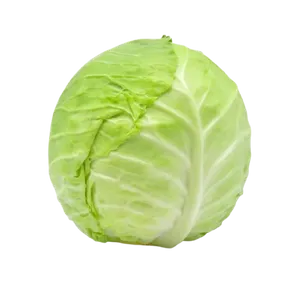 WHITE CABBAGE