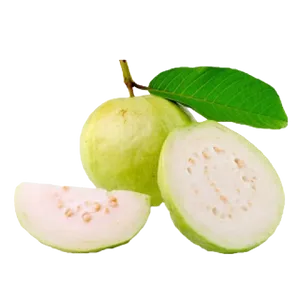 GUAVA
