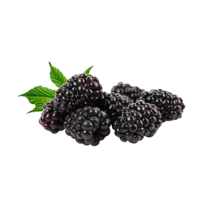BLACK BERRY piece