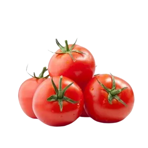 TOMATO Class1