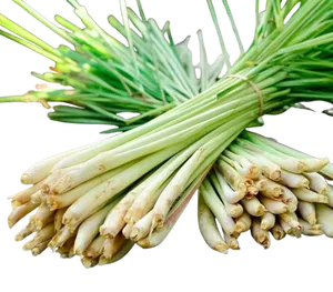 LEMON GRASS