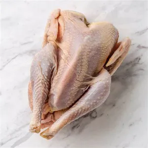 Hens / Red Boiler £3.99