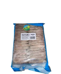Gutum (Clean)