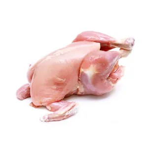 Baby Chicken £3.99 Each