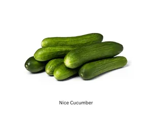 Nice Cucumber-500gm