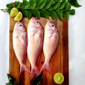 Kili Meen / Threadfin bream- 1.kg