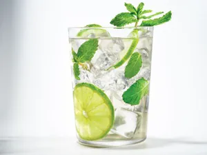 Mint Mojito