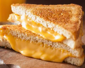 Cheese Sandwich